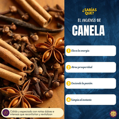 Incienso Cascada Golden Indian Canela 10 Conos - Sree Vani