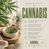 Incienso Jumbo Canabis
