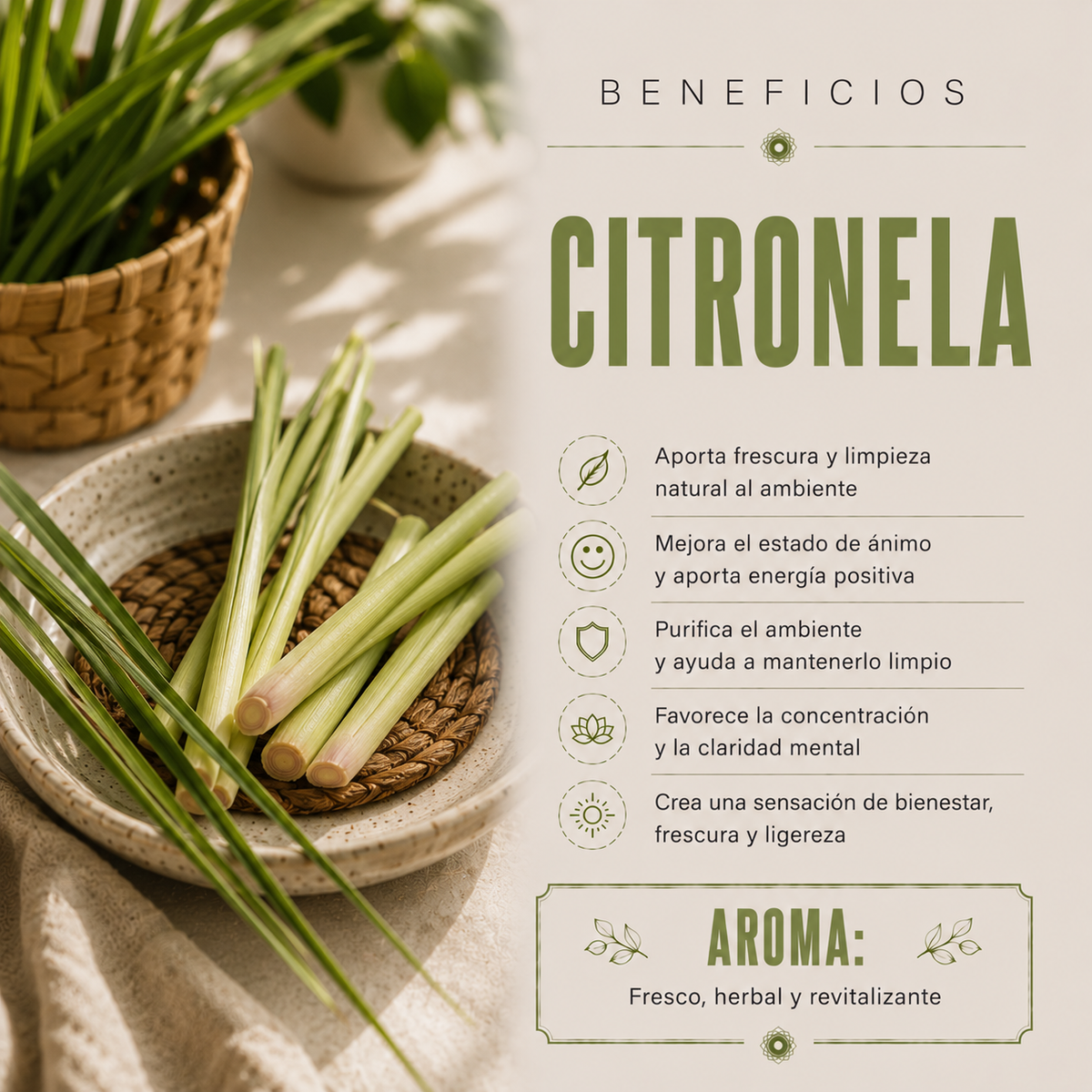 Incienso Masala Citronella