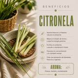 Incienso Masala Citronella