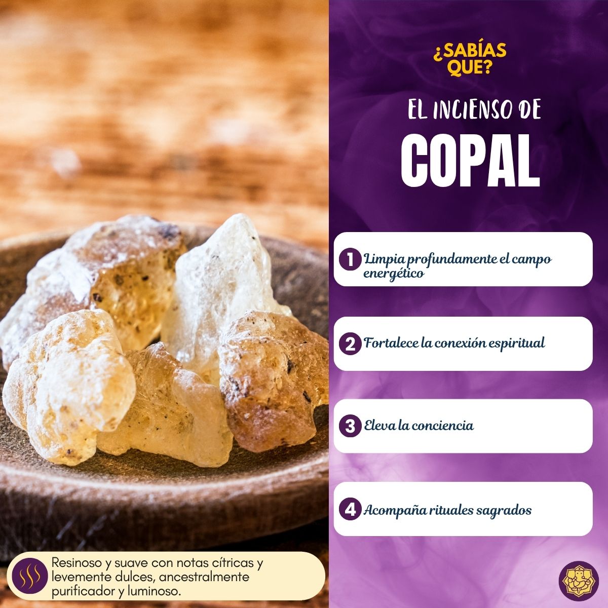 Incienso Natural Copal Fit - Goloka