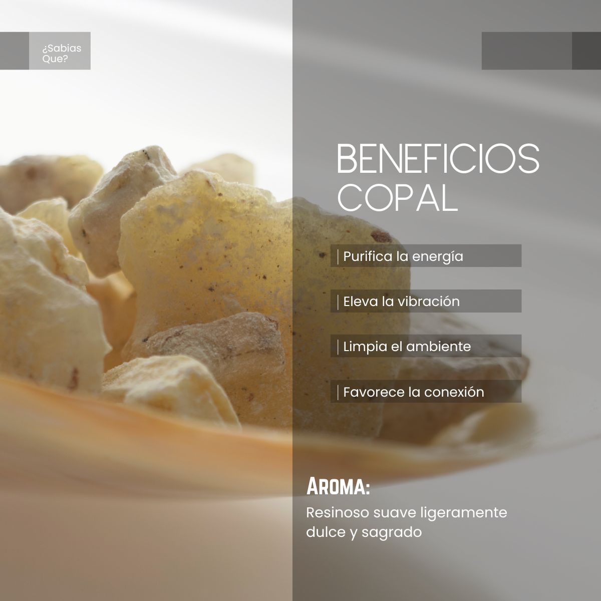 Aceite Aromático Copal Blanco
