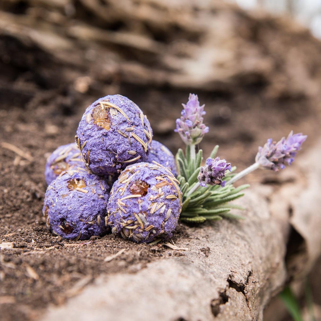 Bomba Premium Lavanda & Olíbano