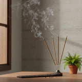 Incienso Jumbo Nag Champa y Palo Santo