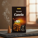 Incienso Cascada Canela 120 conos