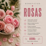 Incienso Golden Nag Red Rose