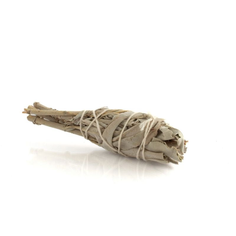Sahúmo Salvia Blanca Antorcha 10 cm
