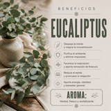 Aromatizante Spray Eucaliptus 100 mL