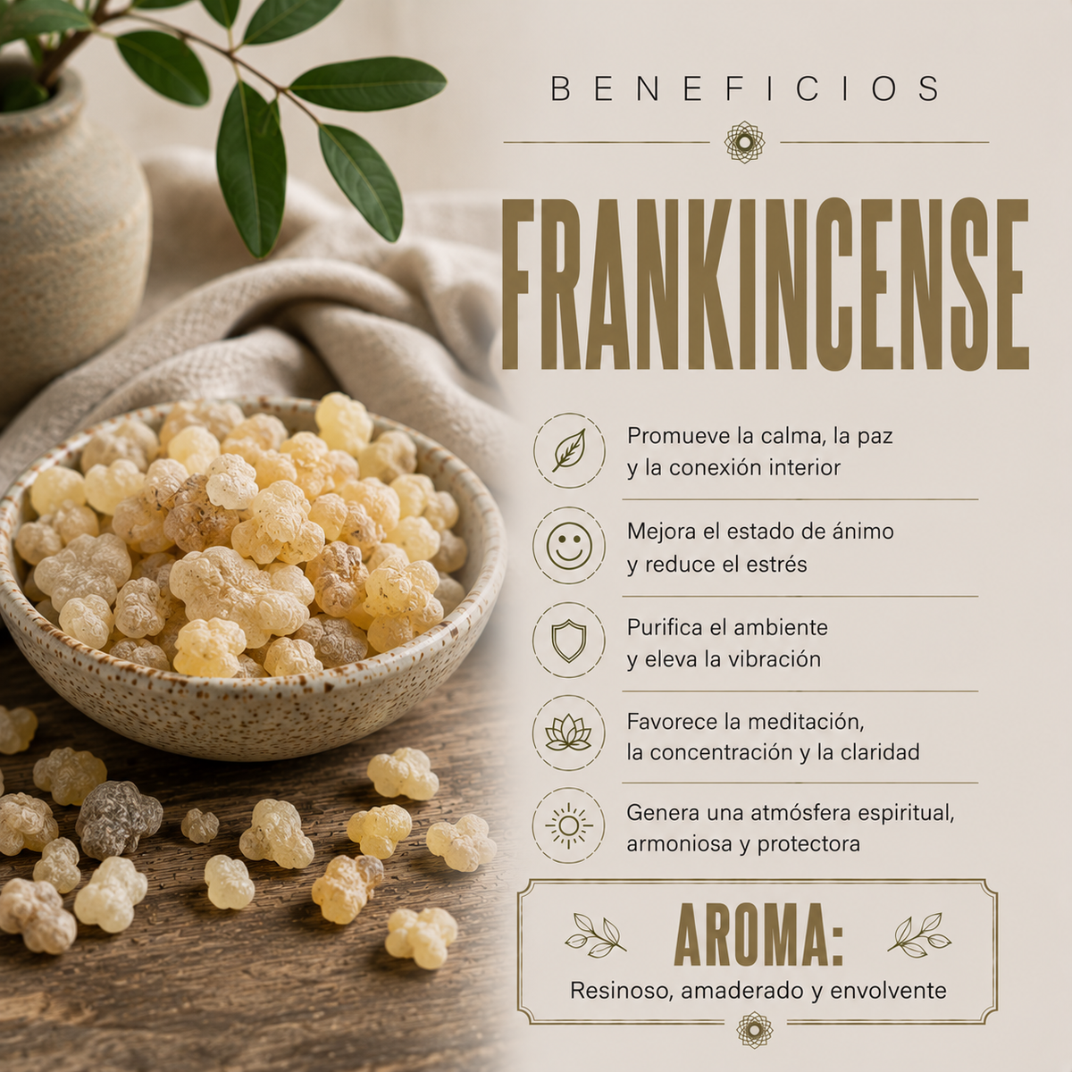 Resina Olíbano 50gr
