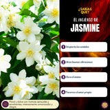 Incienso Natural Jasmine Fit - Goloka