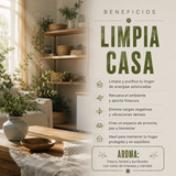 Incienso Masala Limpia Casa