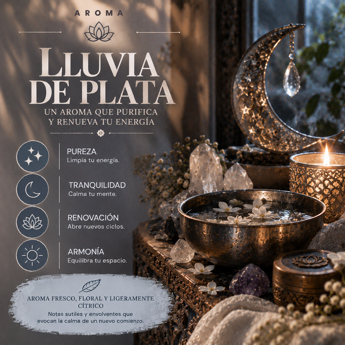 Incienso Masala Lluvia de Plata