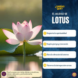 Incienso Natural Premium Lotus - Goloka
