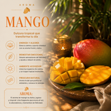 Incienso Masala Mango
