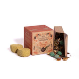 Kit Humito Sagrado Protección