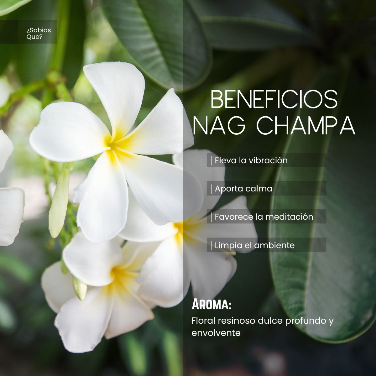 Aceite Aromático Nag Champa