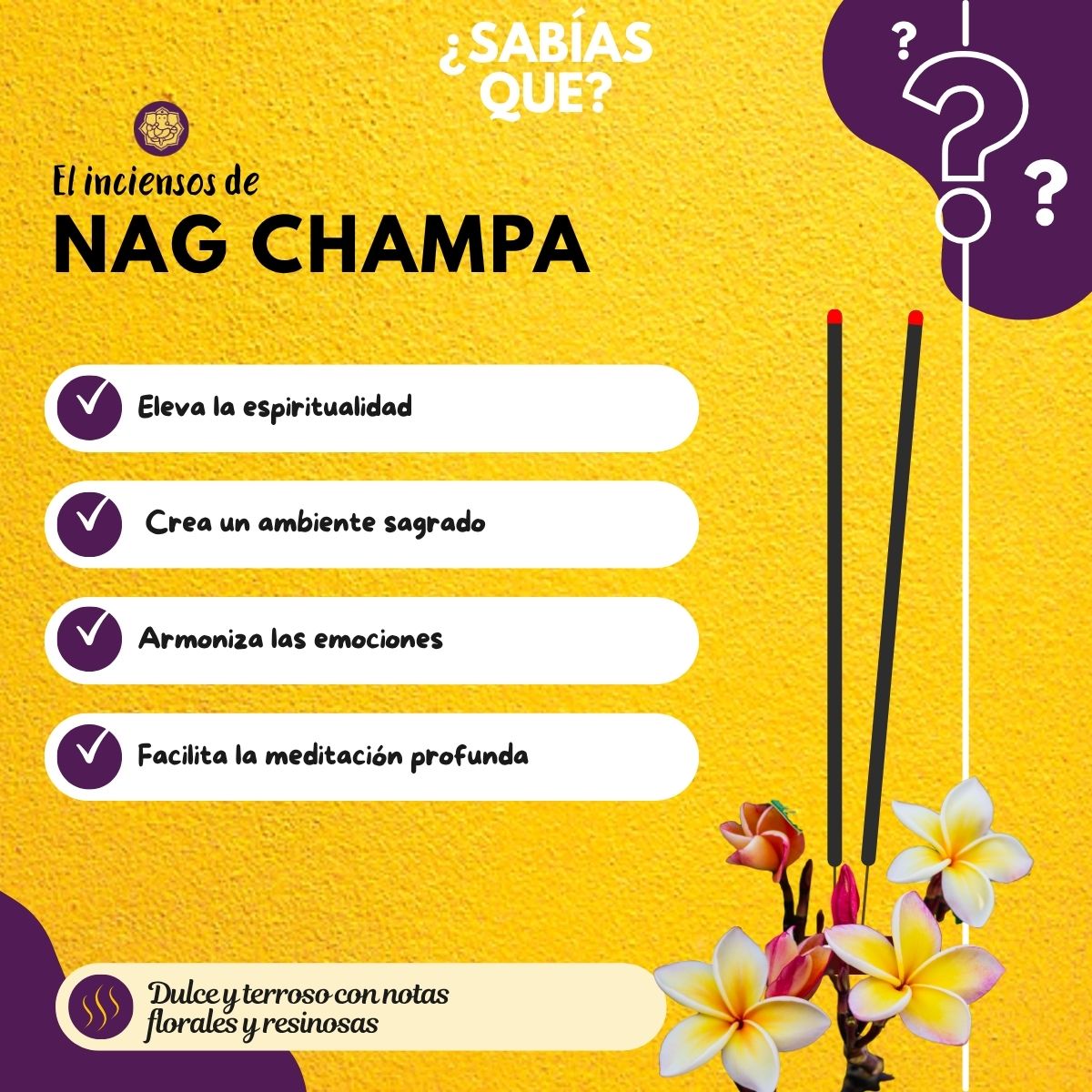 Ladrillos de Incienso Natural Nag Champa - Aromafume