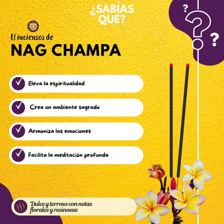 Incienso en Cono Nag Champa - Goloka