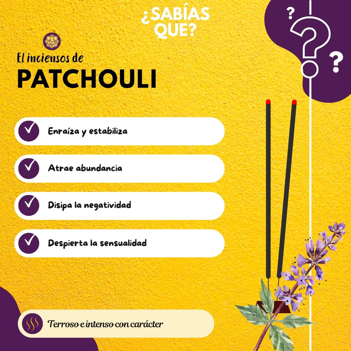 Ladrillos de Incienso Natural Oudh Patchouli - ISHOM