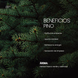 Aceite Aromatico de Pino