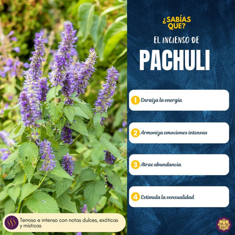 Incienso Cascada Golden Indian Patchouli 10 Conos - Sree Vani