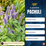 Incienso Natural Nag Patchouli - Vijayshree