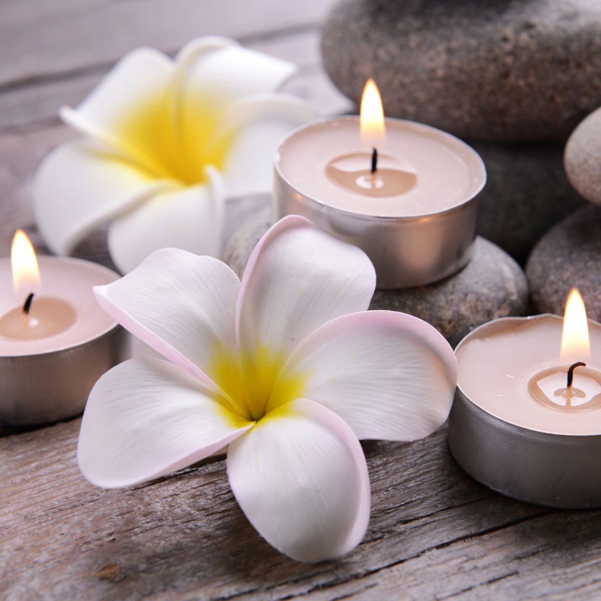 Pack 50 Velas Tealight 8 Horas