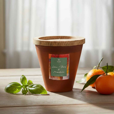 Vela Lima,Albahaca y Mandarina 1kg