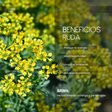 Aceite Aromático de Ruda