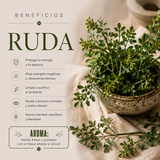 Copitas de Incienso Ruda 12 copas