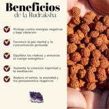 Pulsera Plateada Tribal Rudraksha