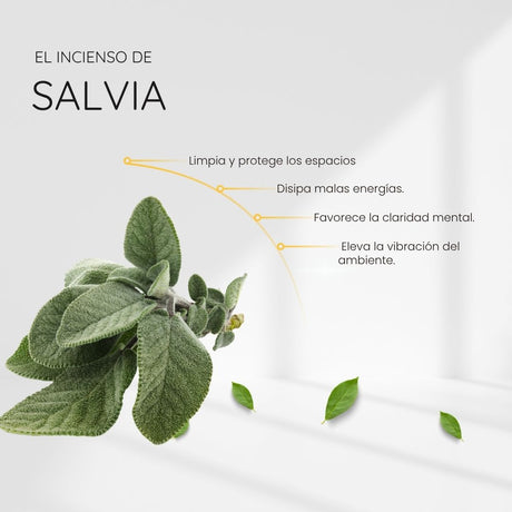 Incienso Natural Organico Salvia Blanca - Song of India