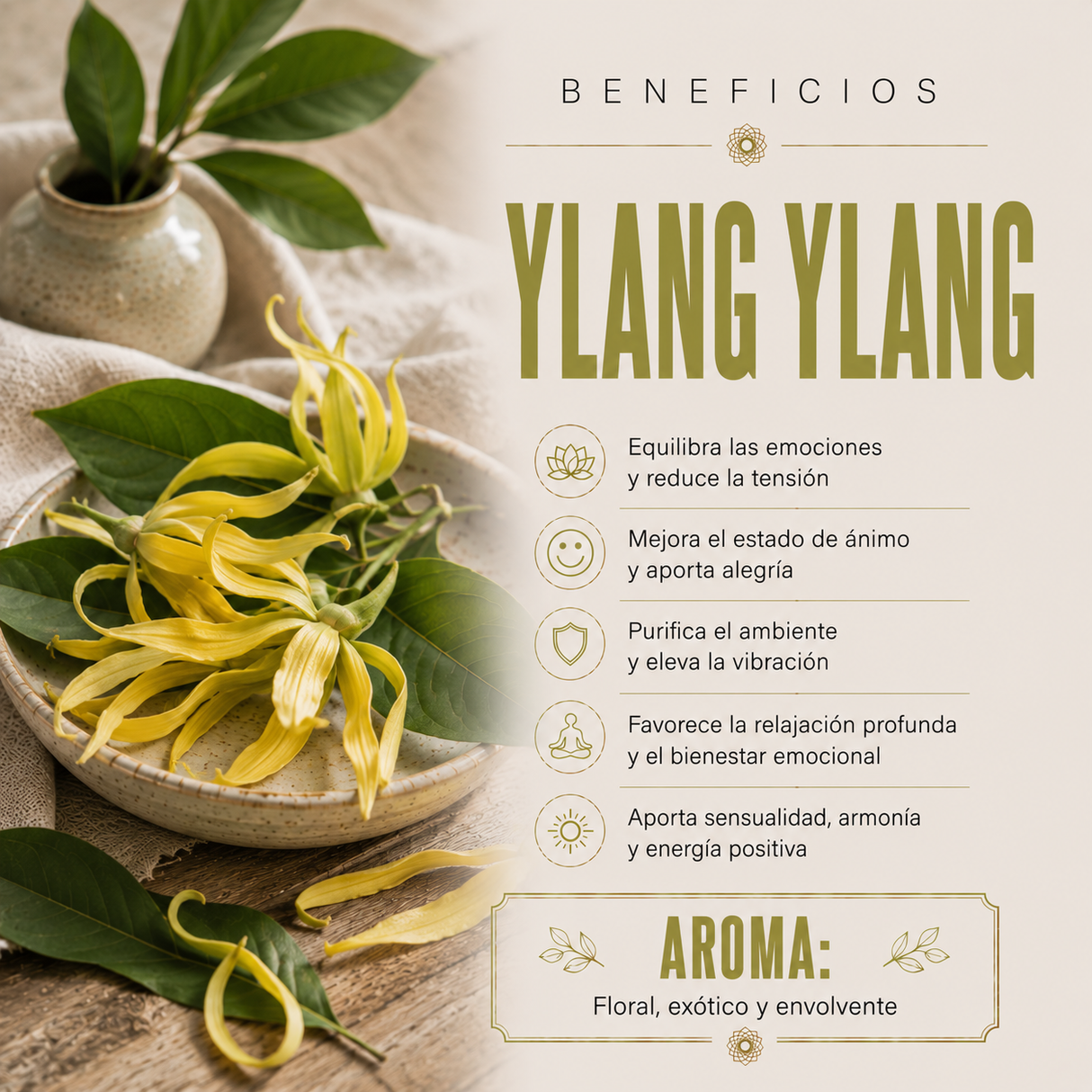 Aceite Esencial Ylang Ylang
