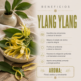 Aceite Esencial Ylang Ylang
