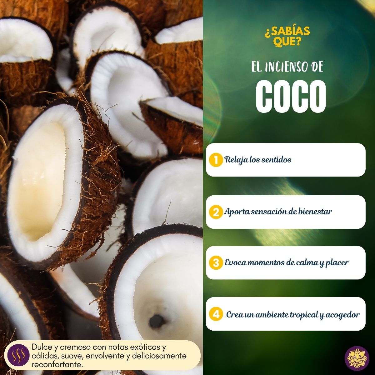 Incienso Natural Coco - Alaukik