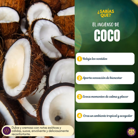 Incienso Natural Coco - Alaukik