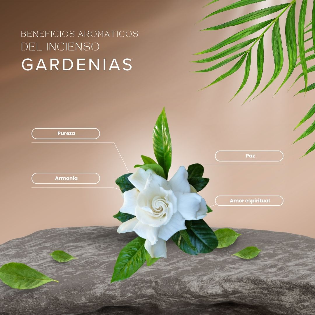 Mini Sahumerio Tibetano Gardenias Flores Blancas - Aromanza