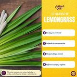 Incienso Natural Lemongrass Aromaterapia - Goloka