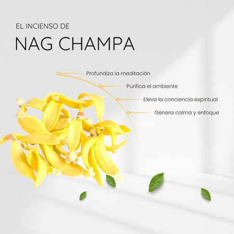 Incienso Natural Nag Champa con Piedra Amatista - Song of India