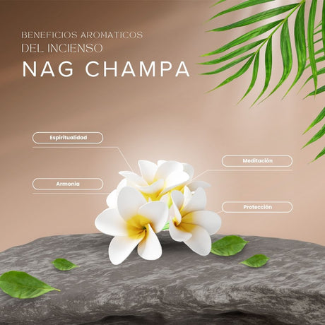 Palo Santo Buena Onda Real Champa - Aromanza