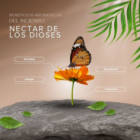 Palo Santo Buena Onda Nectar de los Dioses - Aromanza