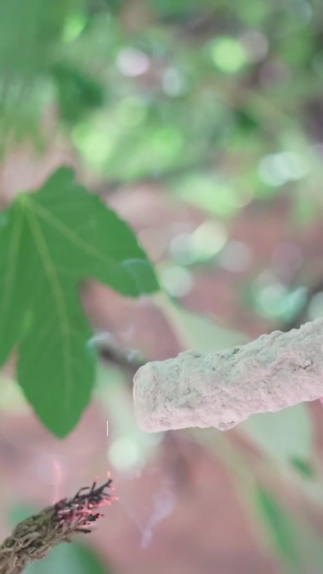 Sahúmo Blanco Yagra