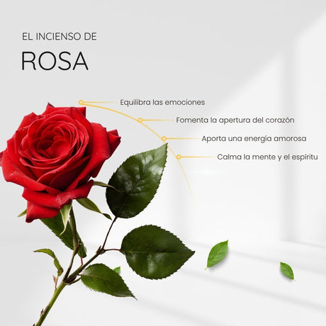 Incienso Natural Organico Rosa - Song of India