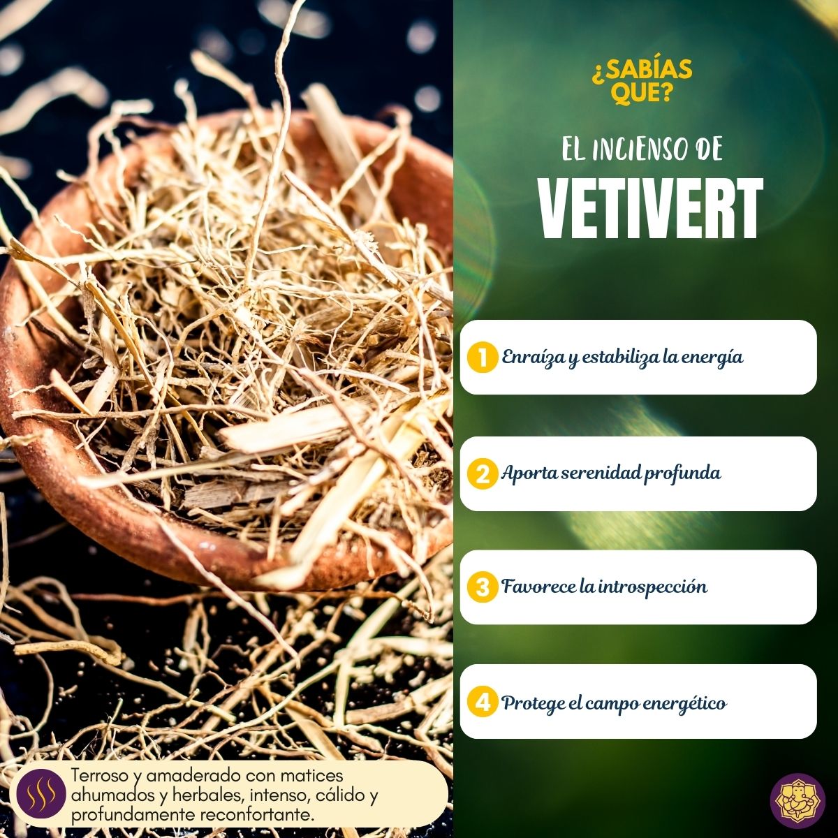 Incienso Natural Popular Vetiver - Goloka